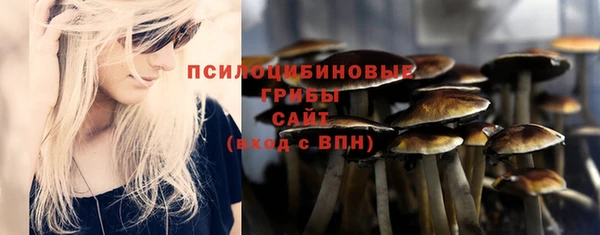 COCAINE Белокуриха