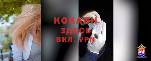 COCAINE Белокуриха